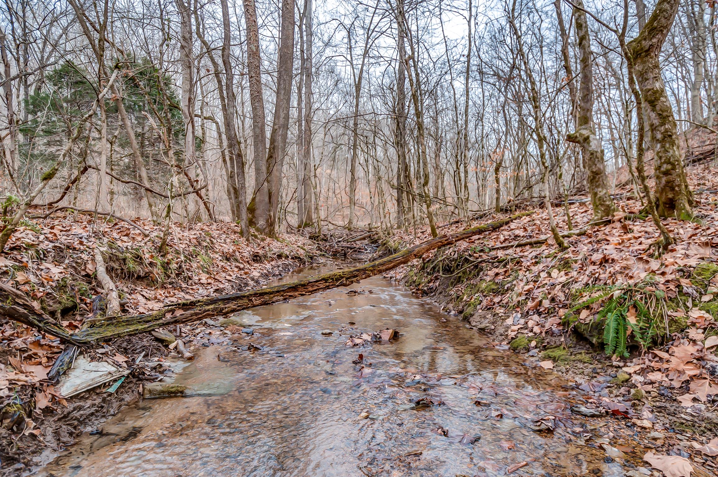 0 Fort Cooper Hollow Road Primm Springs, TN 38476 - Photo 23 of 24 Gallery Image 23