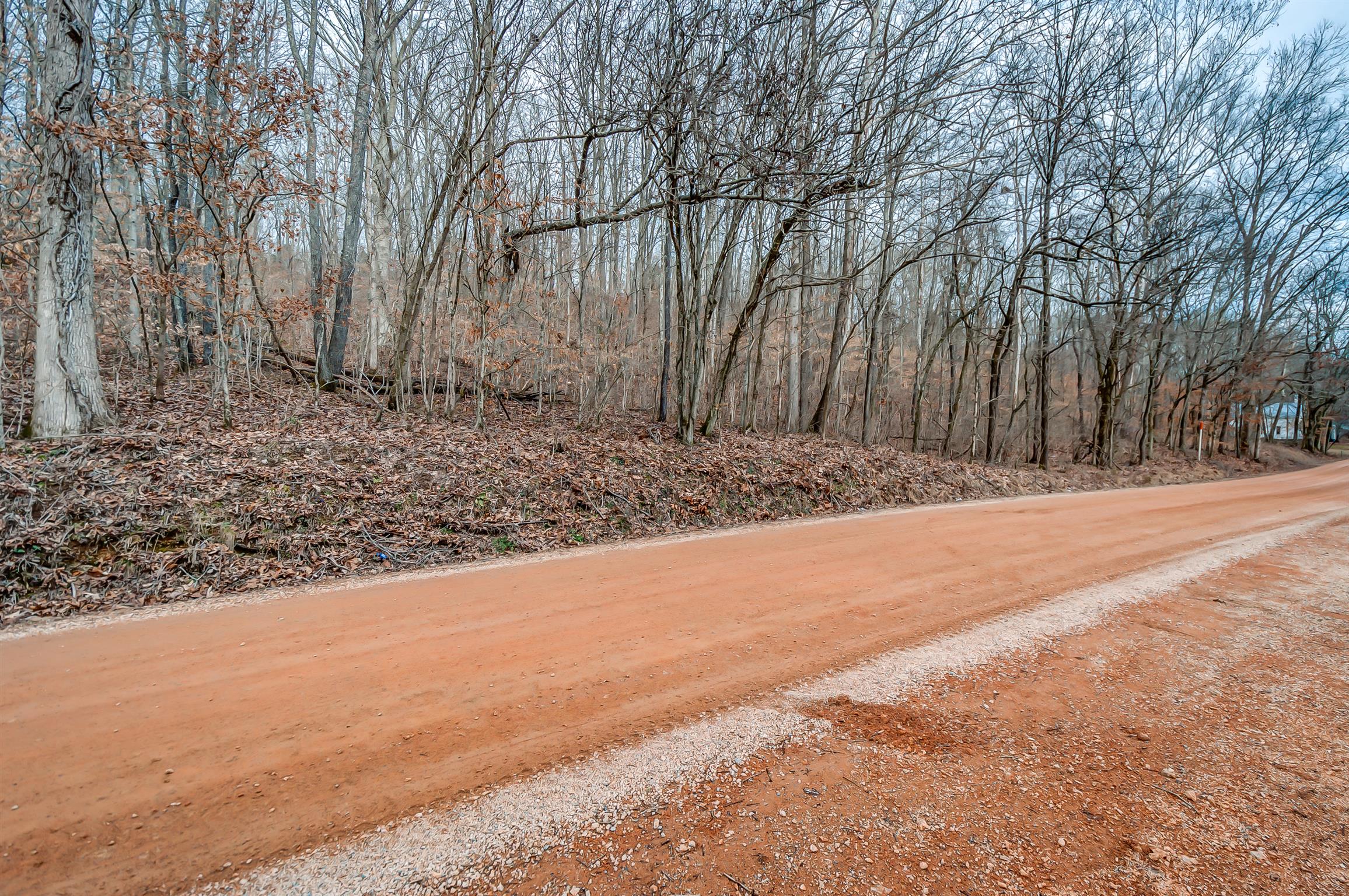 0 Fort Cooper Hollow Road Primm Springs, TN 38476 - Photo 24 of 24 Gallery Image 24