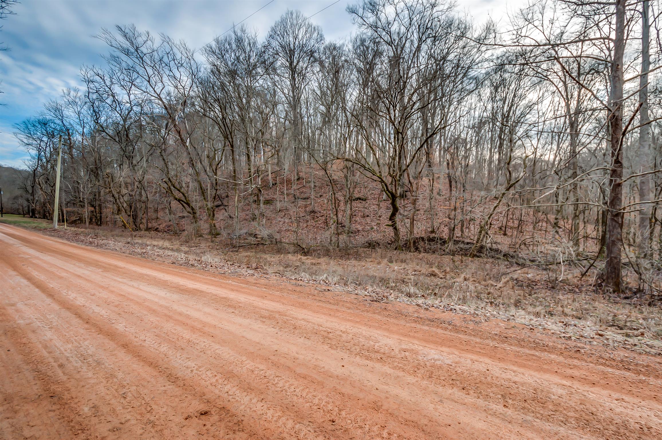 0 Fort Cooper Hollow Road Primm Springs, TN 38476 - Photo 5 of 24 Gallery Image 5