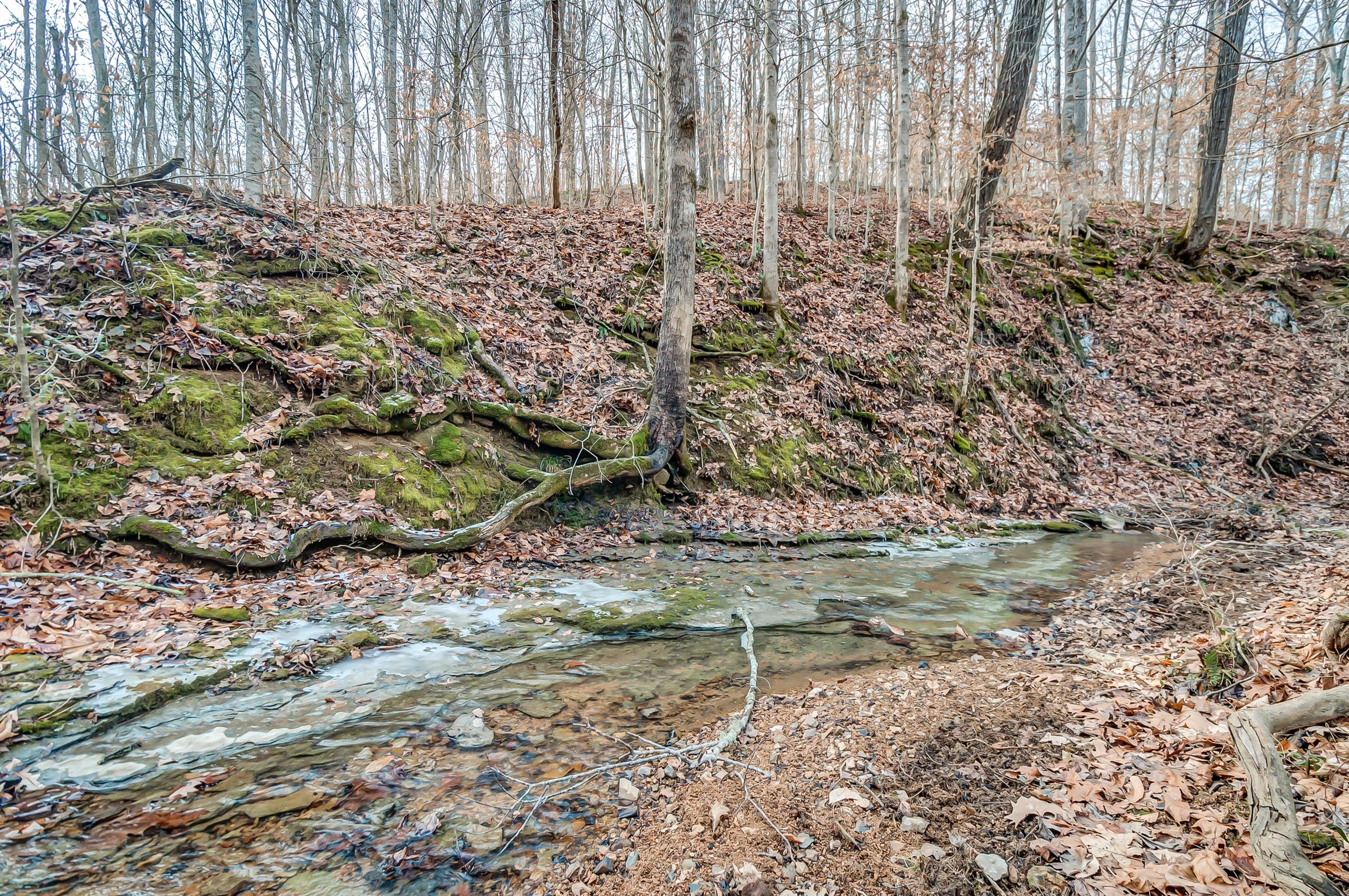 0 Fort Cooper Hollow Road Primm Springs, TN 38476 - Photo 6 of 24 Gallery Image 6