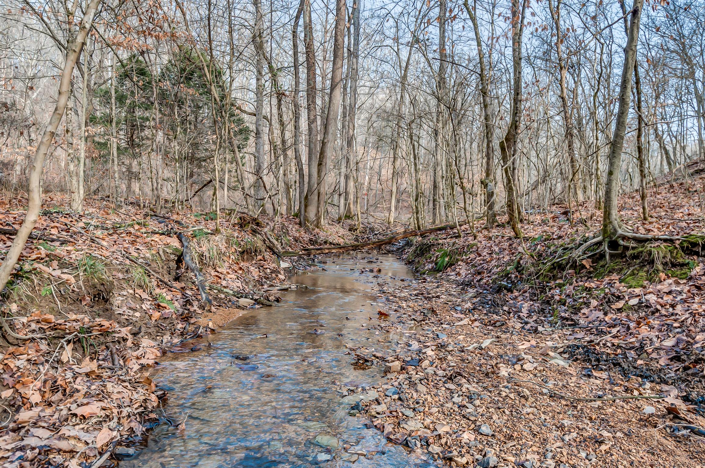 0 Fort Cooper Hollow Road Primm Springs, TN 38476 - Photo 7 of 24 Gallery Image 7