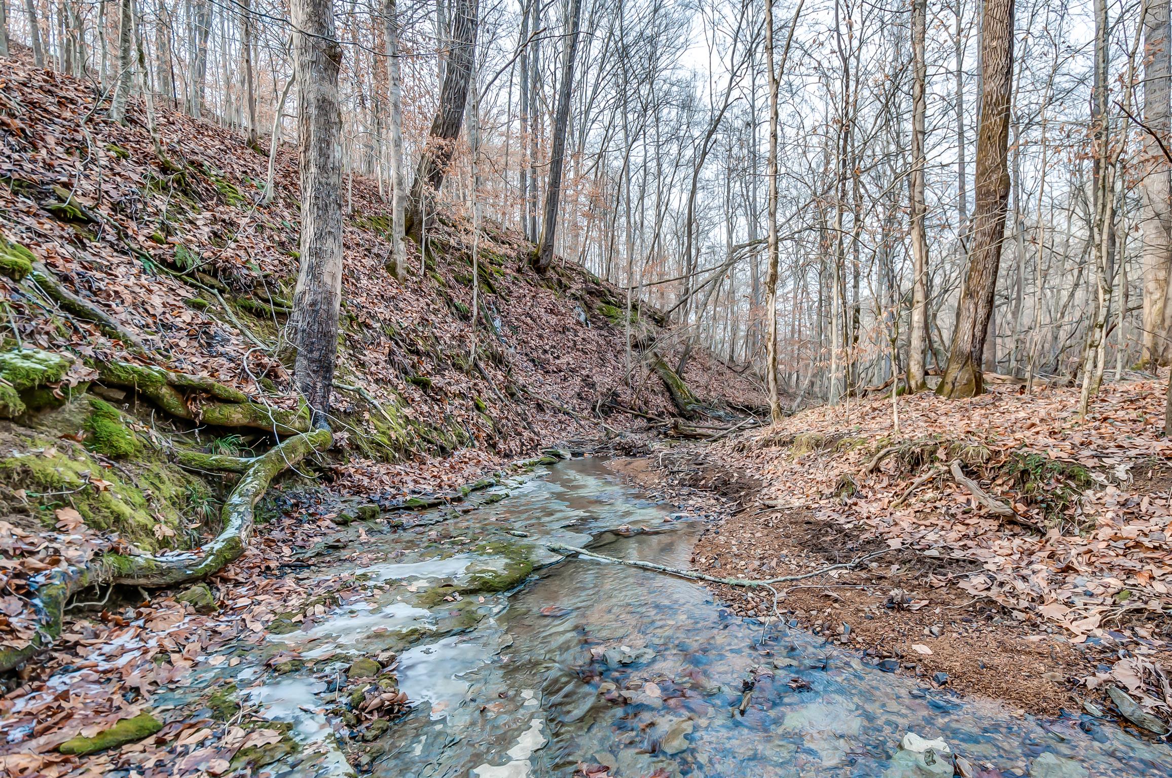0 Fort Cooper Hollow Road Primm Springs, TN 38476 - Photo 8 of 24 Gallery Image 8
