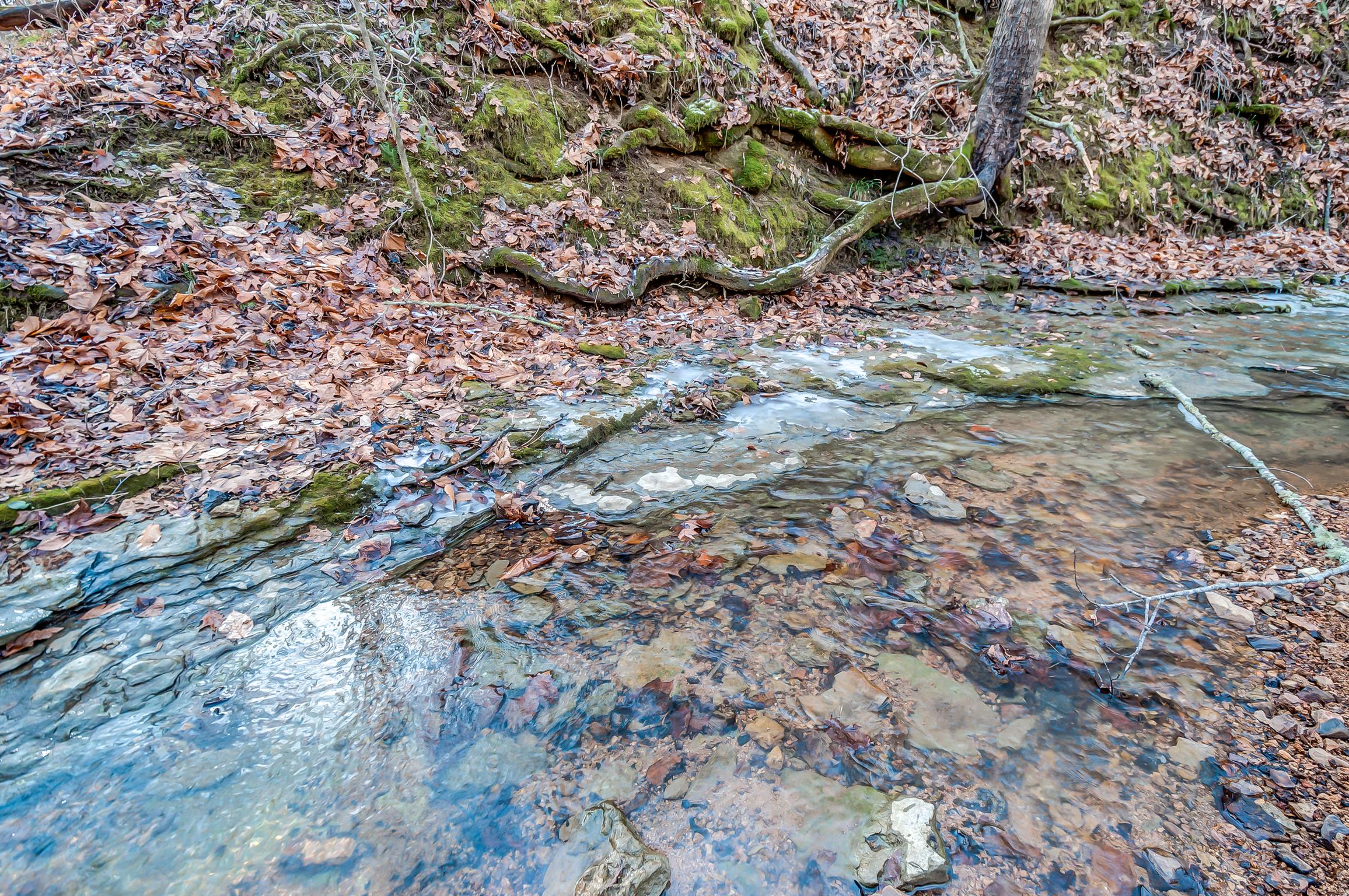 0 Fort Cooper Hollow Road Primm Springs, TN 38476 - Photo 9 of 24 Gallery Image 9