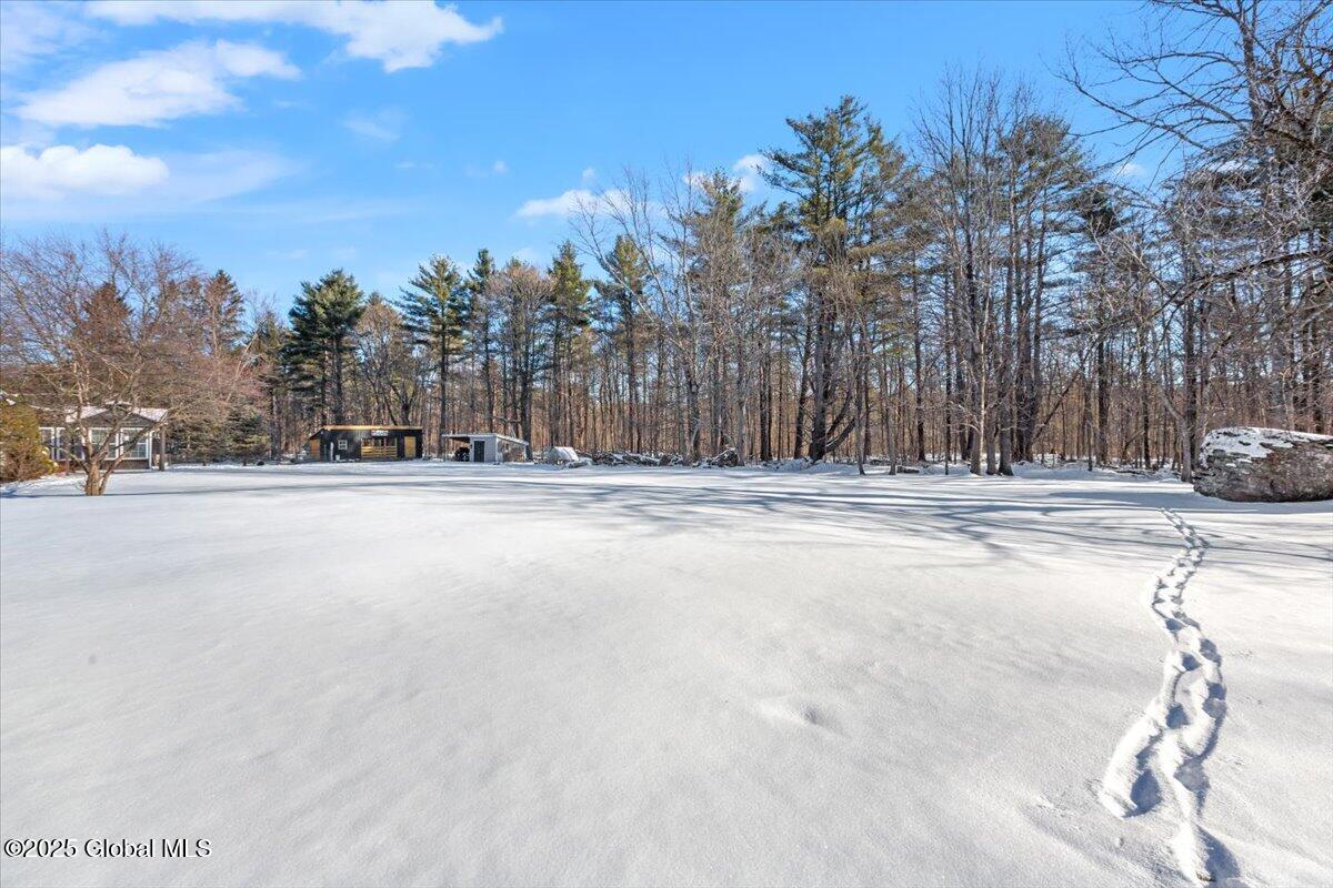 264 Starr Road Coeymans, NY 12143 - Photo 25 of 33 25-Back of House