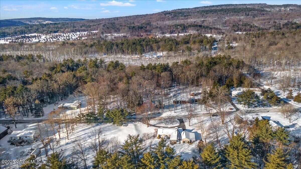 264 Starr Road Coeymans, NY 12143 - Photo 29 of 33 29-Drone Photography