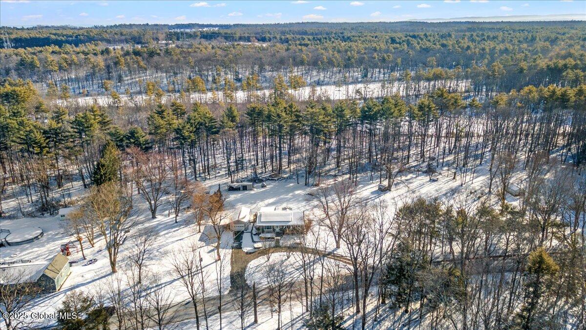 264 Starr Road Coeymans, NY 12143 - Photo 31 of 33 31-Drone Photography