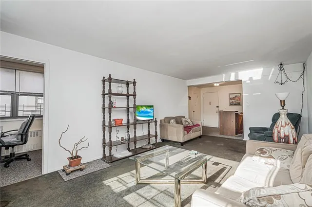 a living room with furniture a rug and gym equipment