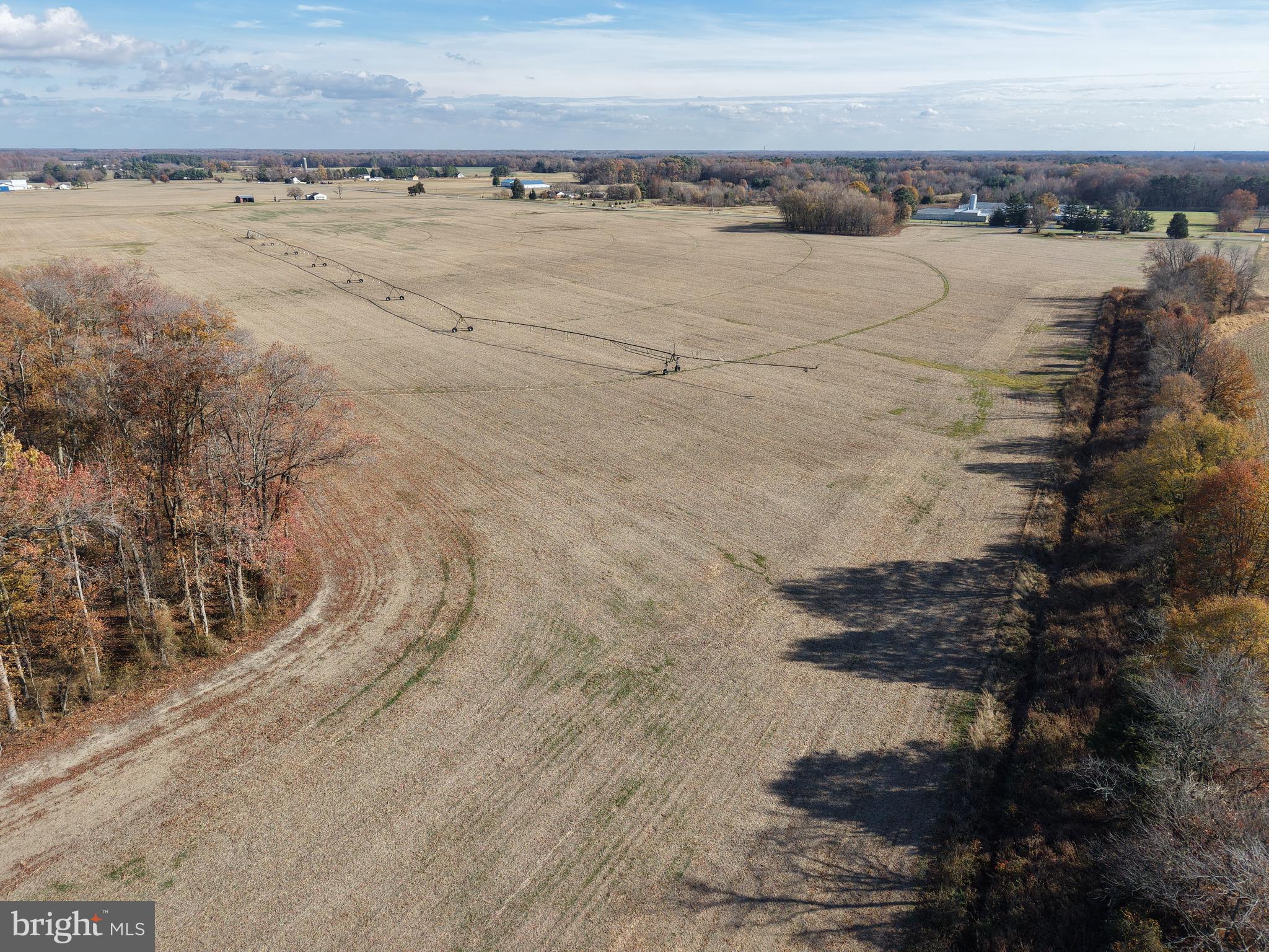 12400-12316 Ridgely Road Ridgely, MD 21660 - Photo 11 of 14 Gallery Image 11