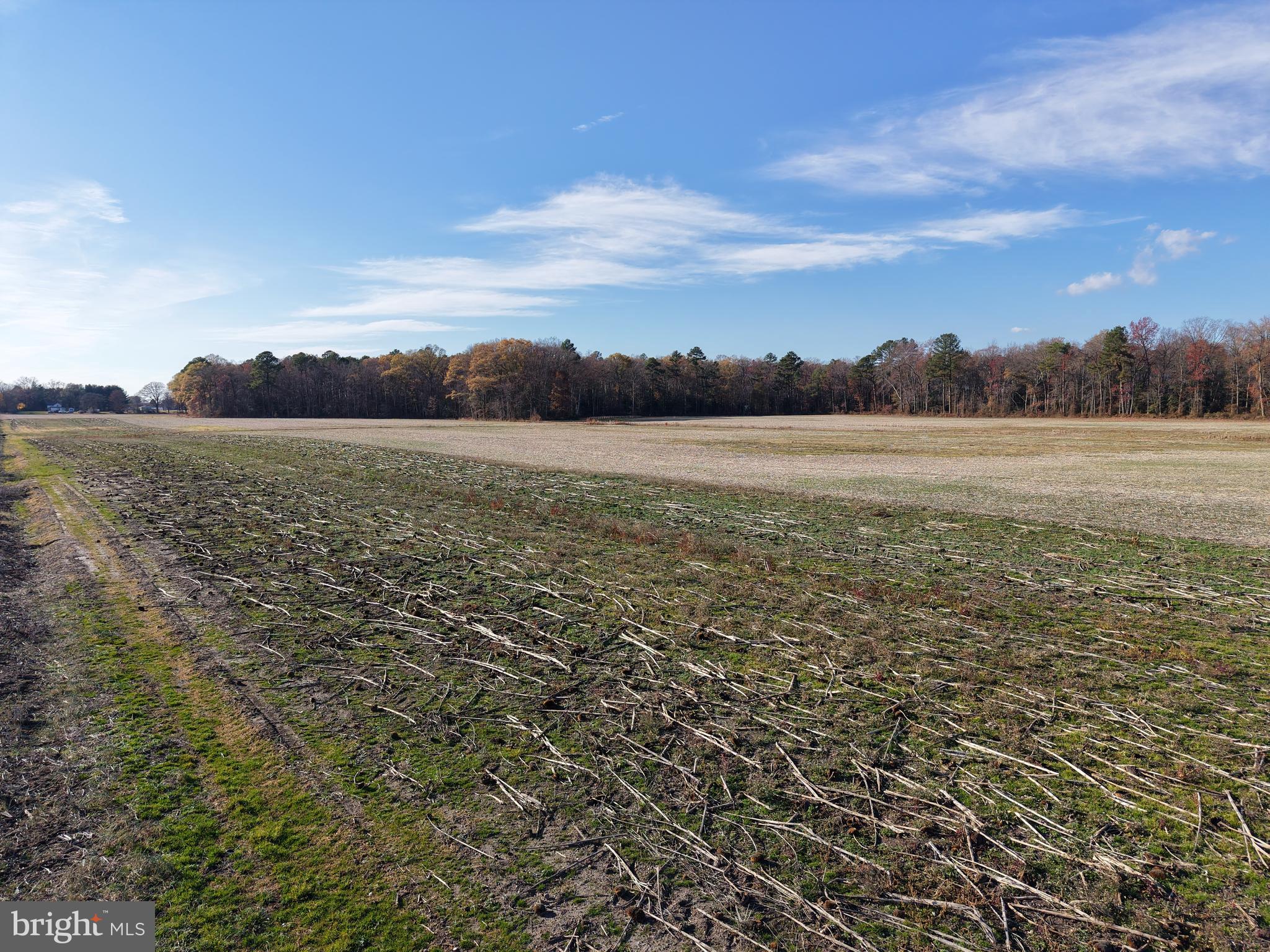 12400-12316 Ridgely Road Ridgely, MD 21660 - Photo 14 of 14 Gallery Image 14