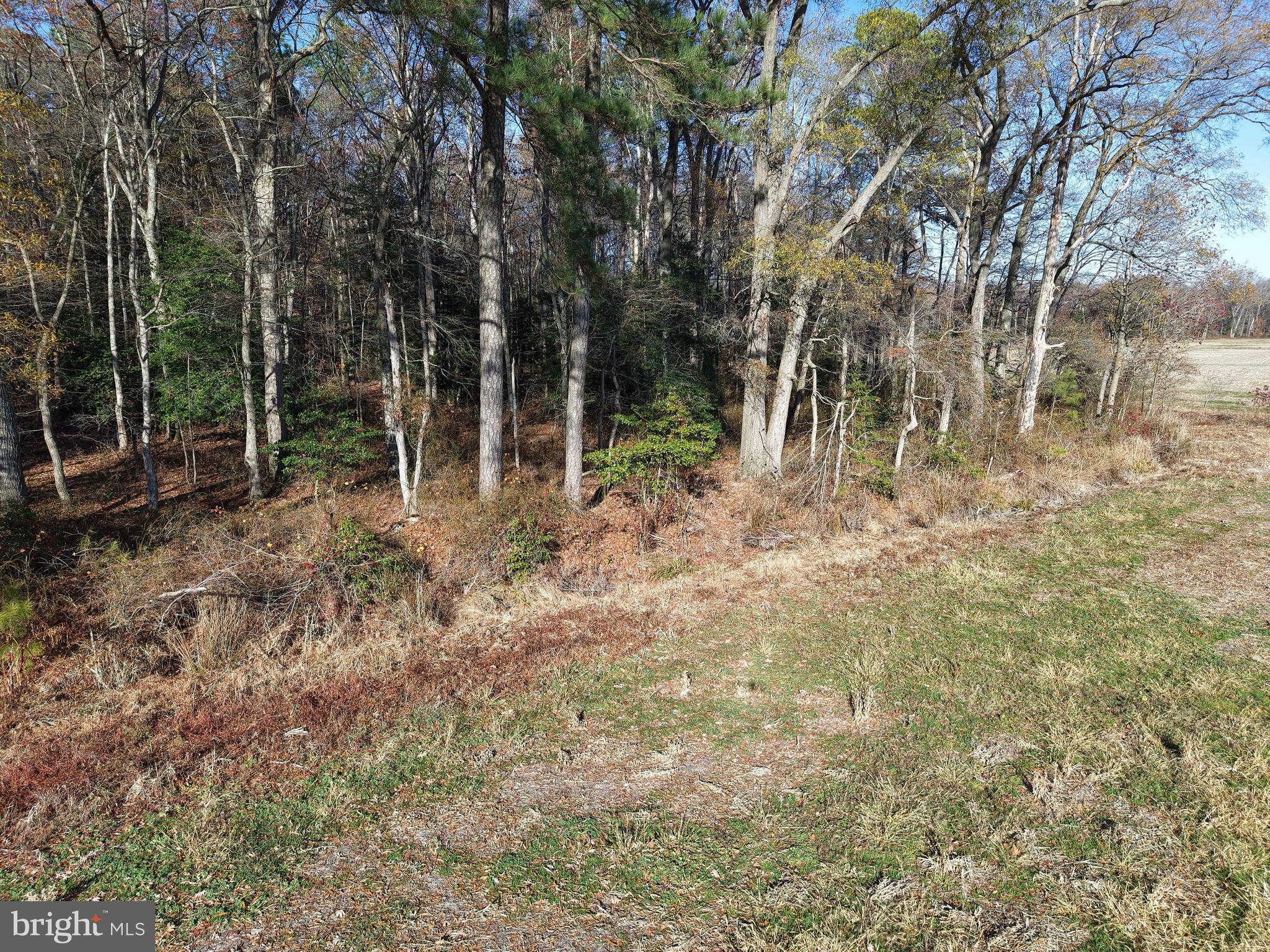 12400-12316 Ridgely Road Ridgely, MD 21660 - Photo 10 of 14 Gallery Image 10