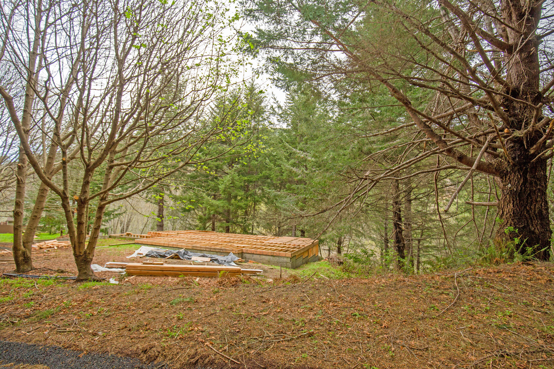 515 Beach Road Shelter Cove, CA 95589 - Photo 6 of 31