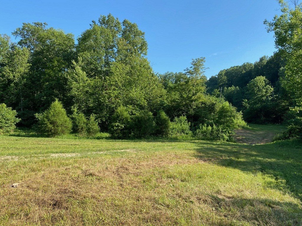 1910 West Froedge Dubree Road Summer Shade, KY 42166 - Photo 7 of 14 Gallery Image 7
