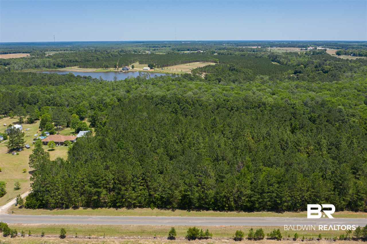 24690 Newport Road Robertsdale, AL 36567 - Photo 2 of 9 Close to Beach Express
