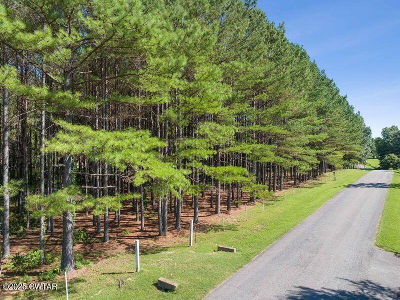 1273 Palmer Road Lexington, TN 38351 - Photo 38 of 62 a view of a park with large trees