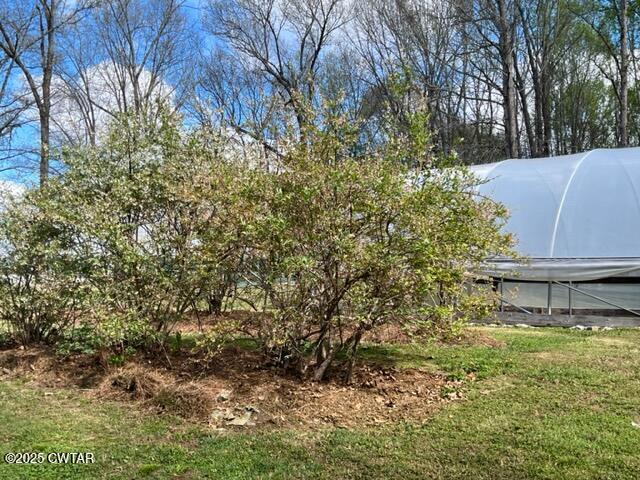 1273 Palmer Road Lexington, TN 38351 - Photo 43 of 62 a view of a backyard of the house