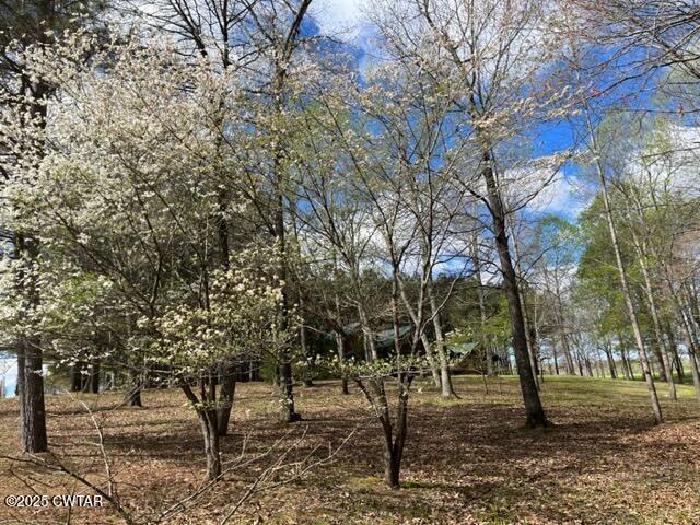 1273 Palmer Road Lexington, TN 38351 - Photo 45 of 62 a view of road with trees