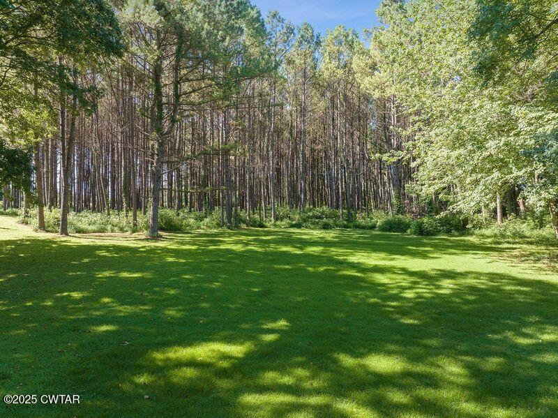1273 Palmer Road Lexington, TN 38351 - Photo 54 of 62 a view of outdoor space with green field and trees