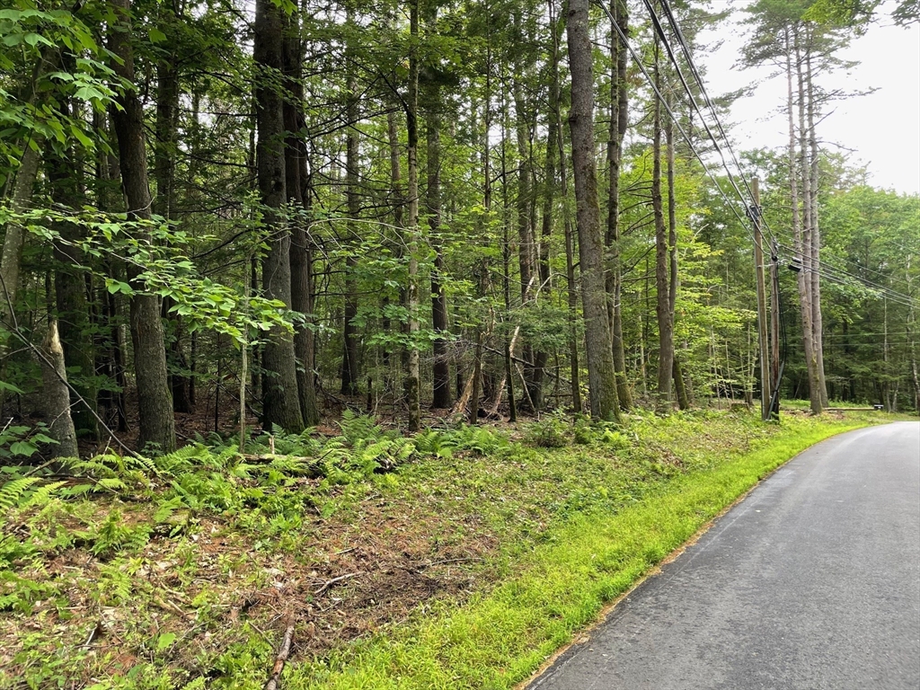 0 South Mountain Road Northfield, MA 01360 - Photo 1 of 4 Gallery Image 1