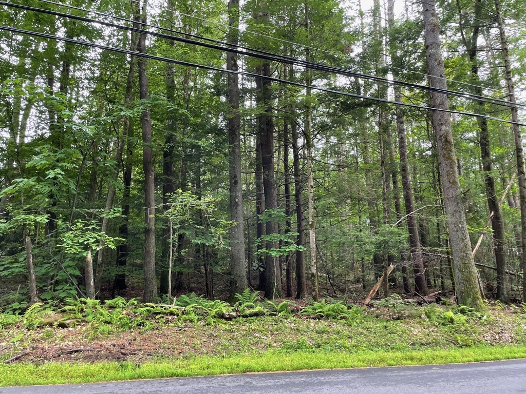 0 South Mountain Road Northfield, MA 01360 - Photo 3 of 4 Gallery Image 3