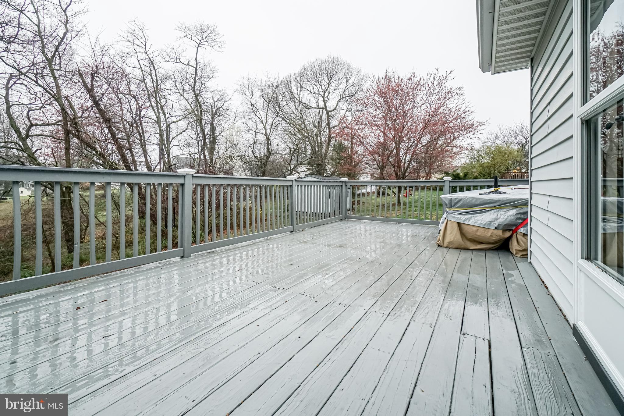 20 Riverview Court Elkton, MD 21921 - Photo 19 of 19 Large rear deck.