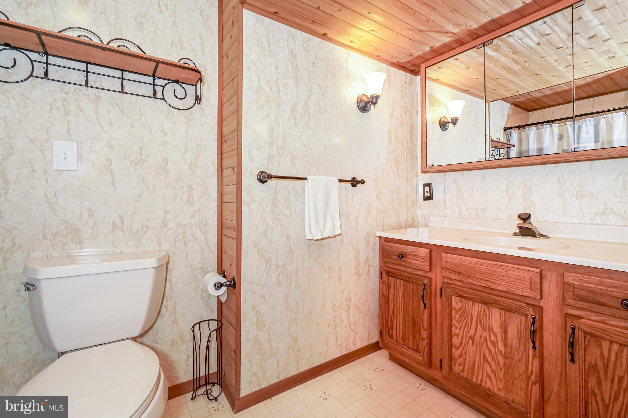 20 Riverview Court Elkton, MD 21921 - Photo 6 of 19 Lower level full bath.
