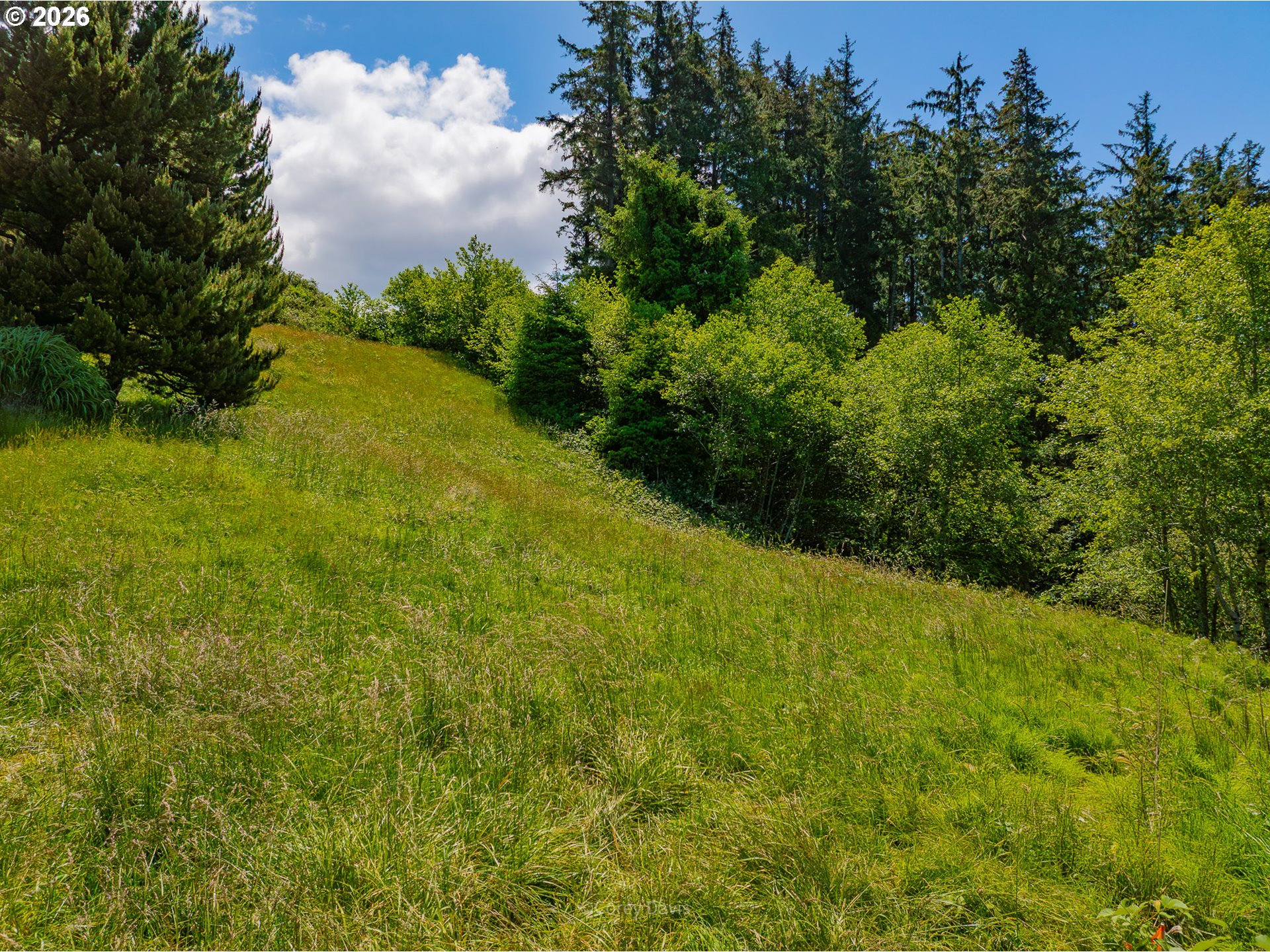 Tides Trail, Unit 45 Nehalem, OR 97131 - Photo 5 of 20