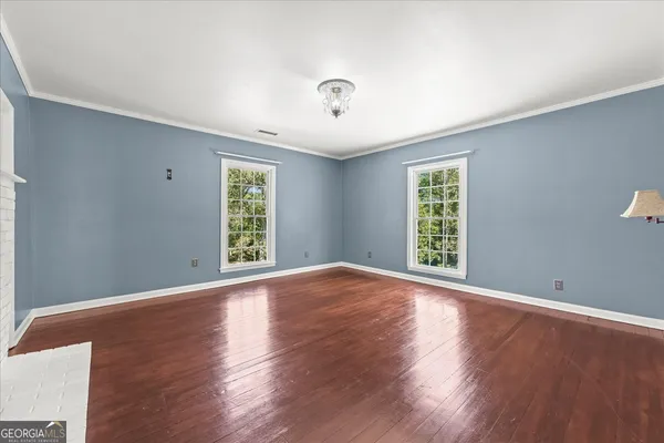 a view of a yard with plants and trees