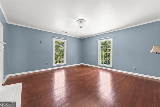 a view of a yard with plants and trees