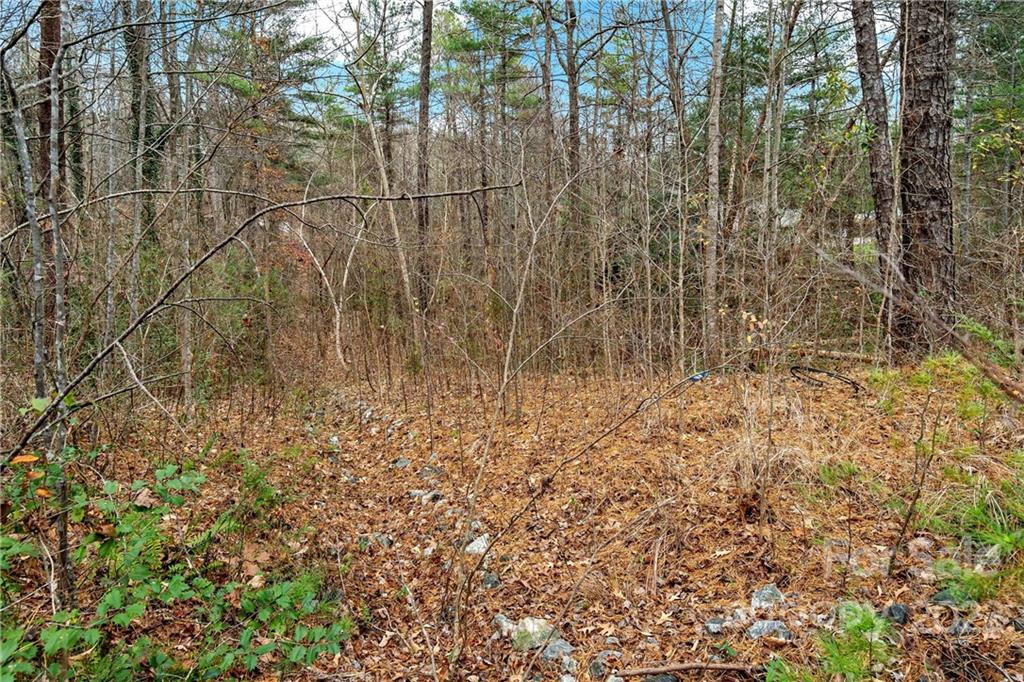 6000 Benfields Landing Road, Unit 1 Nebo, NC 28761 - Photo 11 of 26 Gallery Image 11