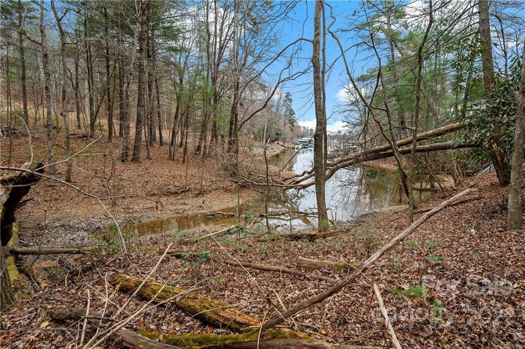 6000 Benfields Landing Road, Unit 1 Nebo, NC 28761 - Photo 4 of 26 Gallery Image 4