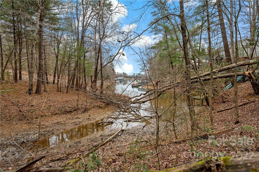 6000 Benfields Landing Road, Unit 1 Nebo, NC 28761 - Photo 5 of 26 Gallery Image 5