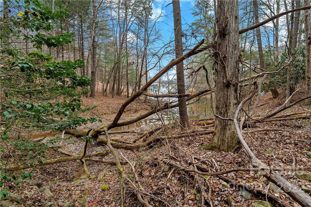 6000 Benfields Landing Road, Unit 1 Nebo, NC 28761 - Photo 6 of 26 Gallery Image 6