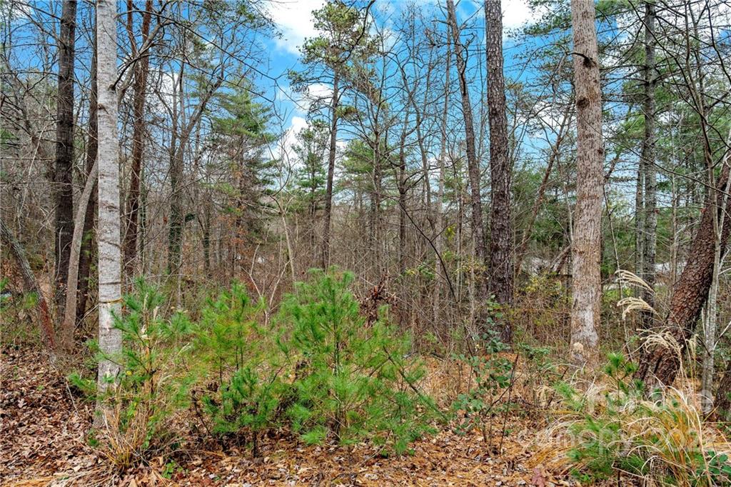 6000 Benfields Landing Road, Unit 1 Nebo, NC 28761 - Photo 8 of 26 Gallery Image 8