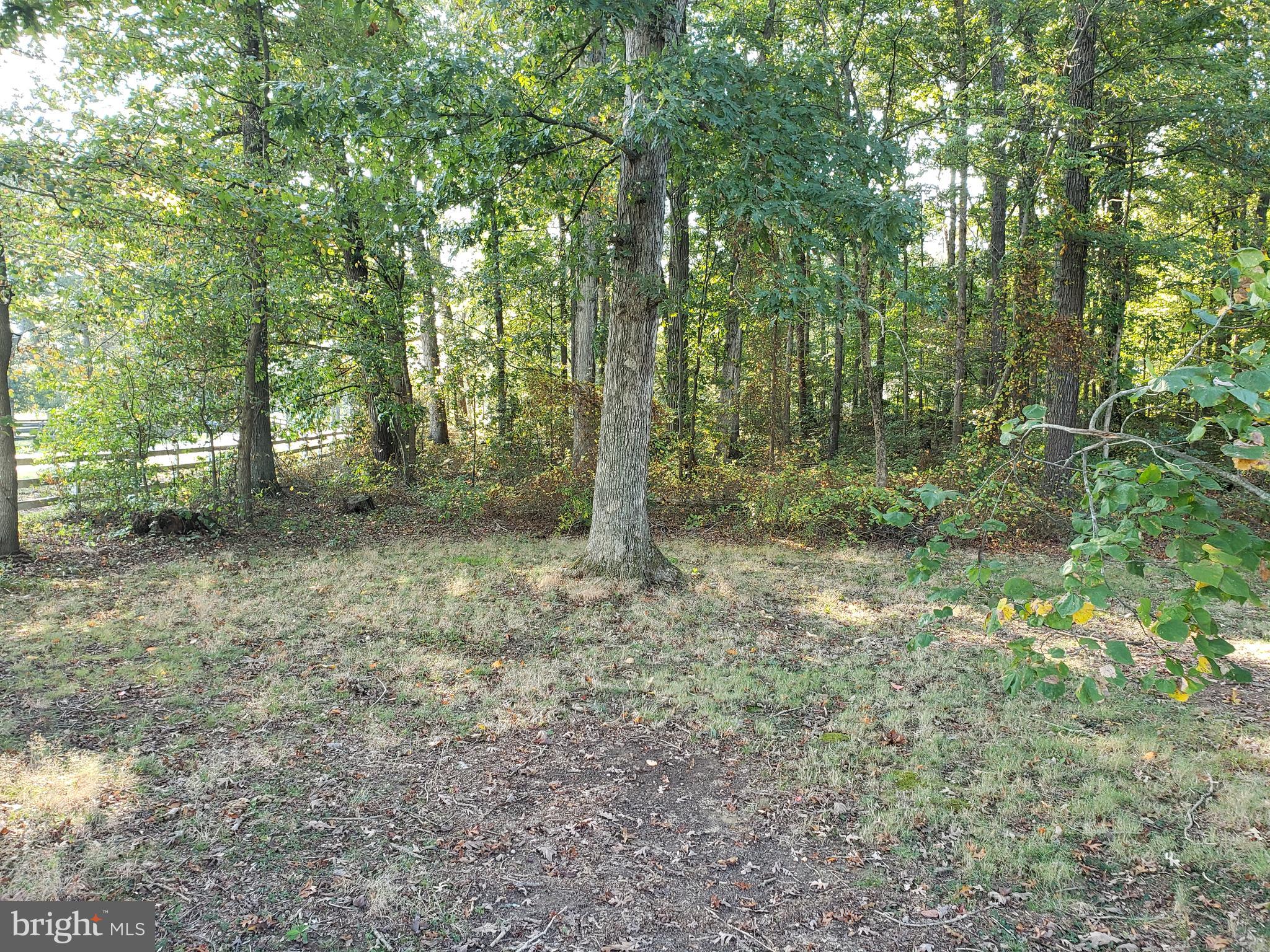 5560 Germantown Road Midland, VA 22728 - Photo 20 of 41 Surrounded by woods