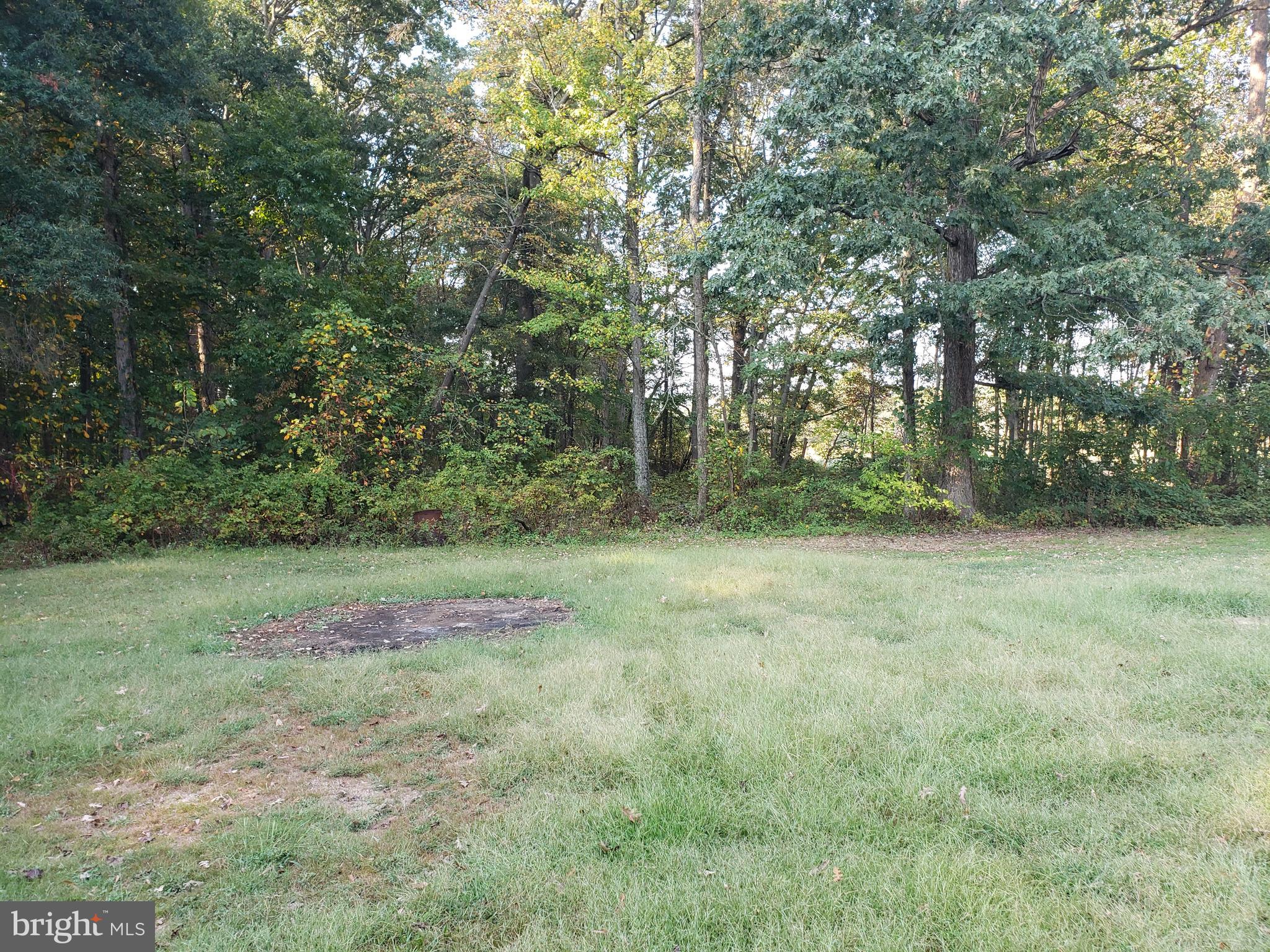 5560 Germantown Road Midland, VA 22728 - Photo 27 of 41 Large backyard