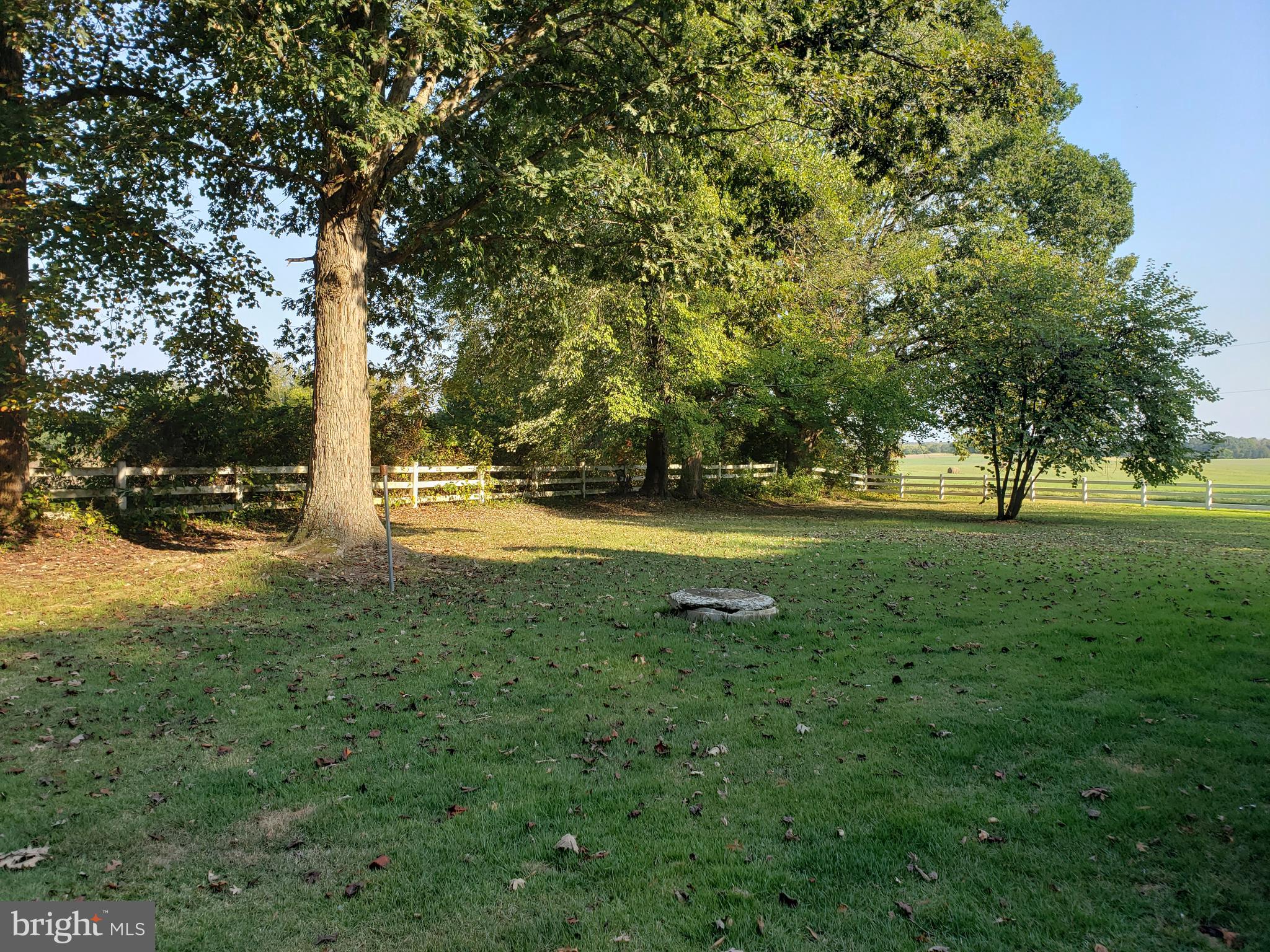 5560 Germantown Road Midland, VA 22728 - Photo 30 of 41 Side yard