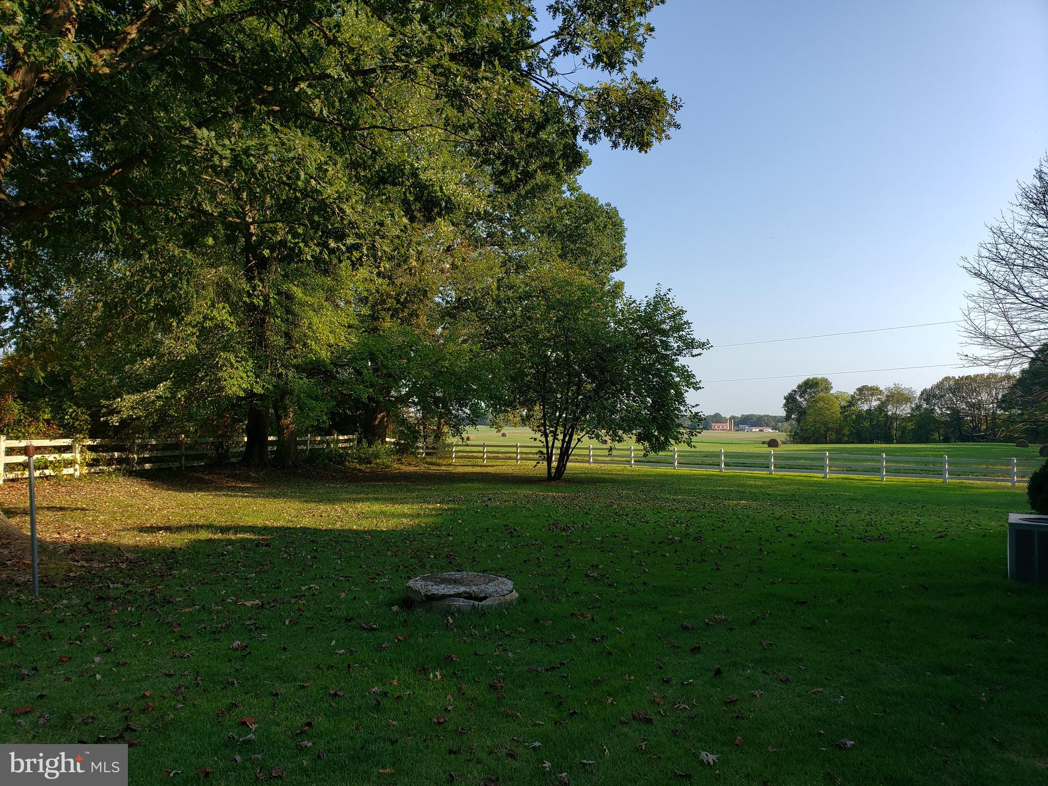5560 Germantown Road Midland, VA 22728 - Photo 31 of 41 More yard!