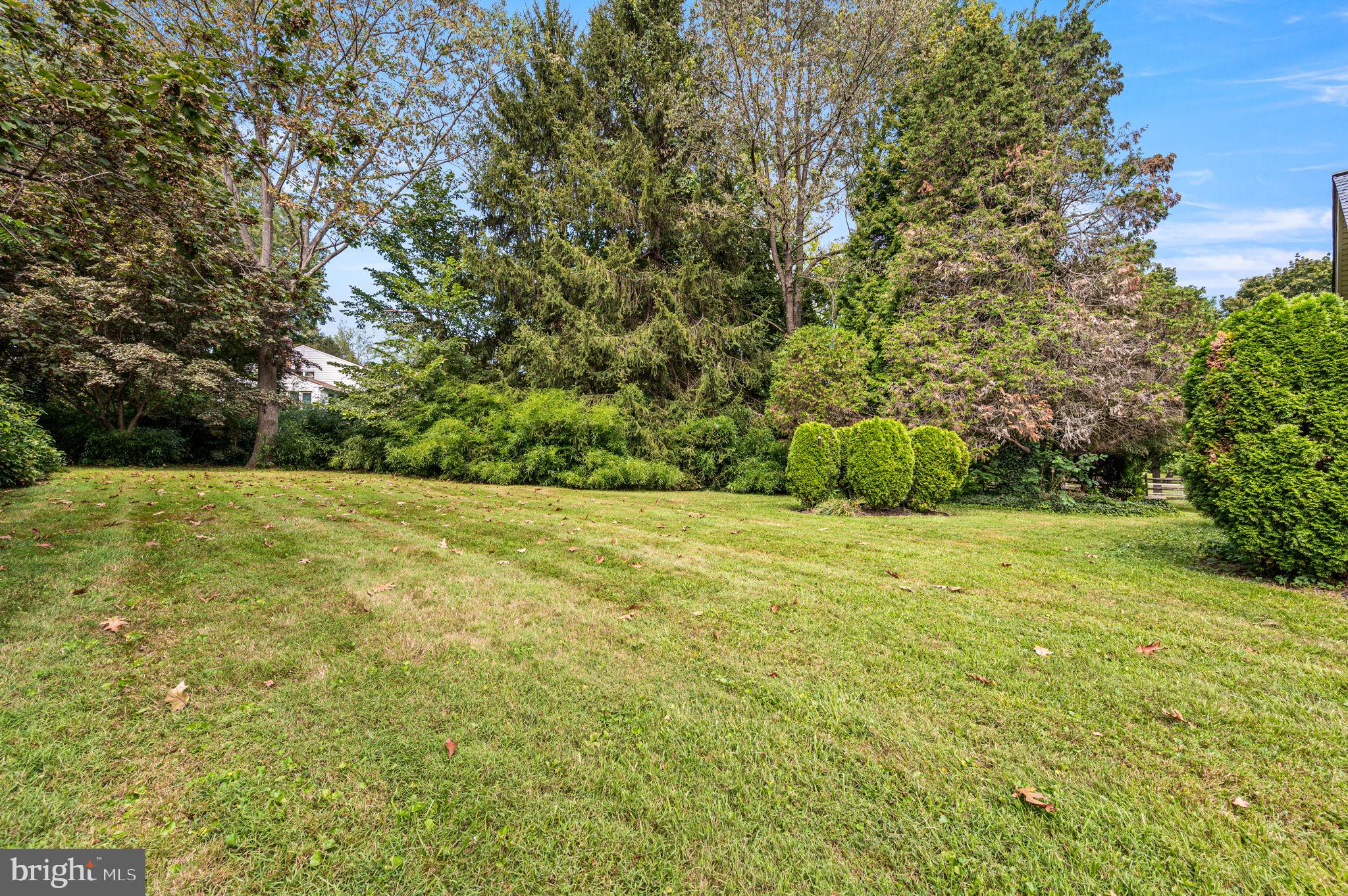 23 East Knowlton Road Media, PA 19063 - Photo 37 of 40 a view of yard with green space