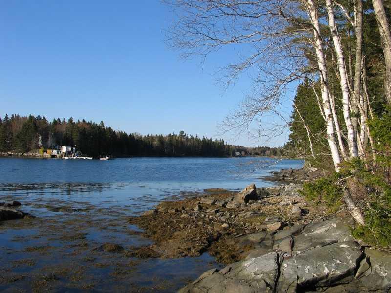 135 Harrington Cove Road St. George, ME 04859 - Photo 26 of 27 View. View of Harrington Cove