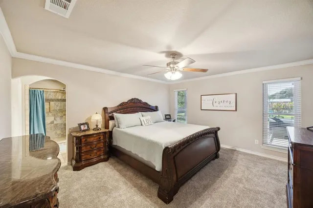 a spacious bedroom with a bed a dresser and potted plants