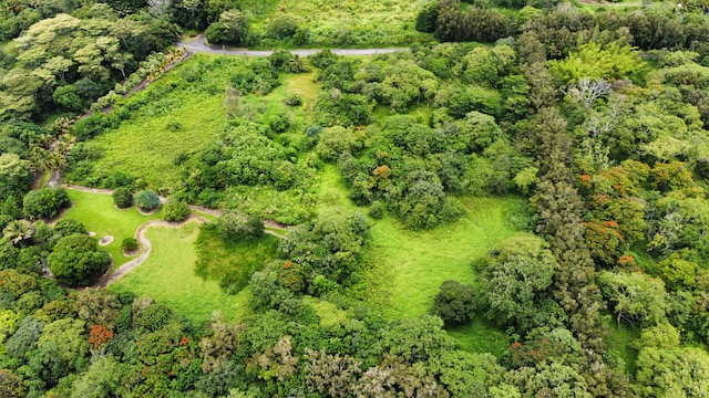 2 Opihikau Road Pahoa, HI 96778 - Photo 3 of 16