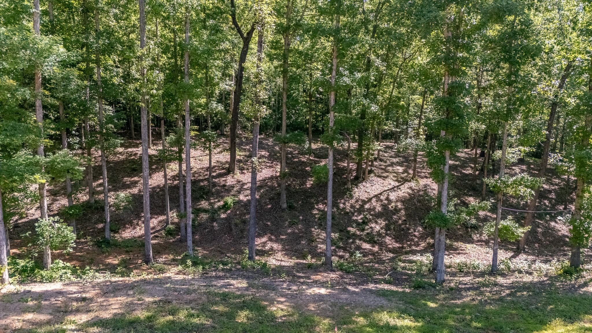 1239 Cherokee Road Waynesboro, TN 38485 - Photo 28 of 36