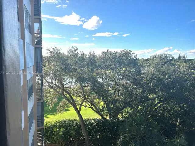 a view of a tree in a yard