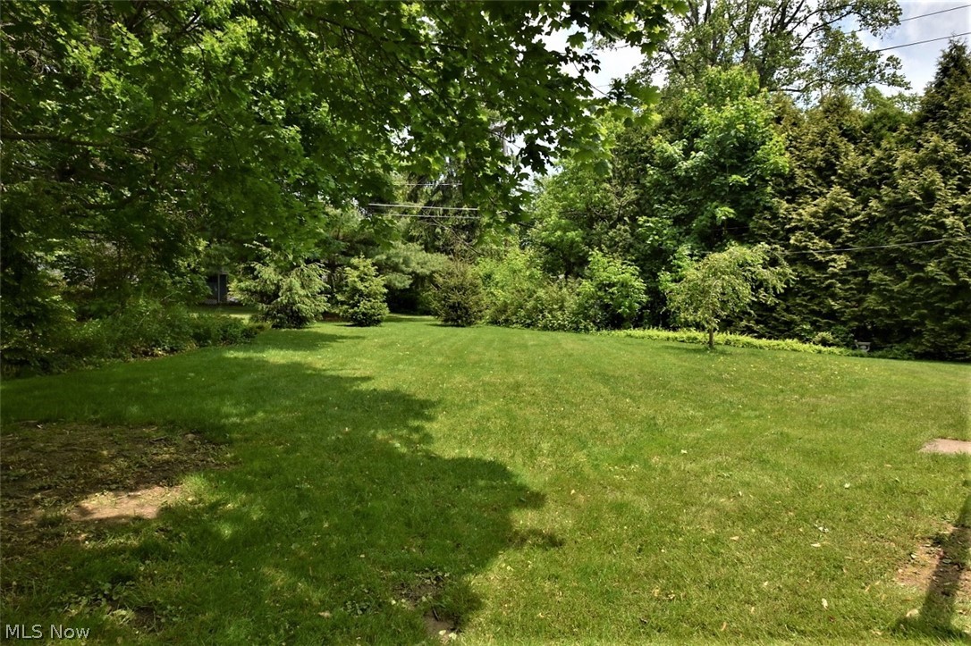 8490 Rockspring Drive Bainbridge, OH 44023 - Photo 15 of 23 Picturesque back yard!