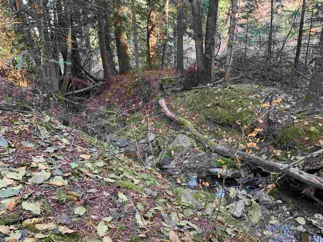 17242 East Kellogg Road Mead, WA 99021 - Photo 12 of 19