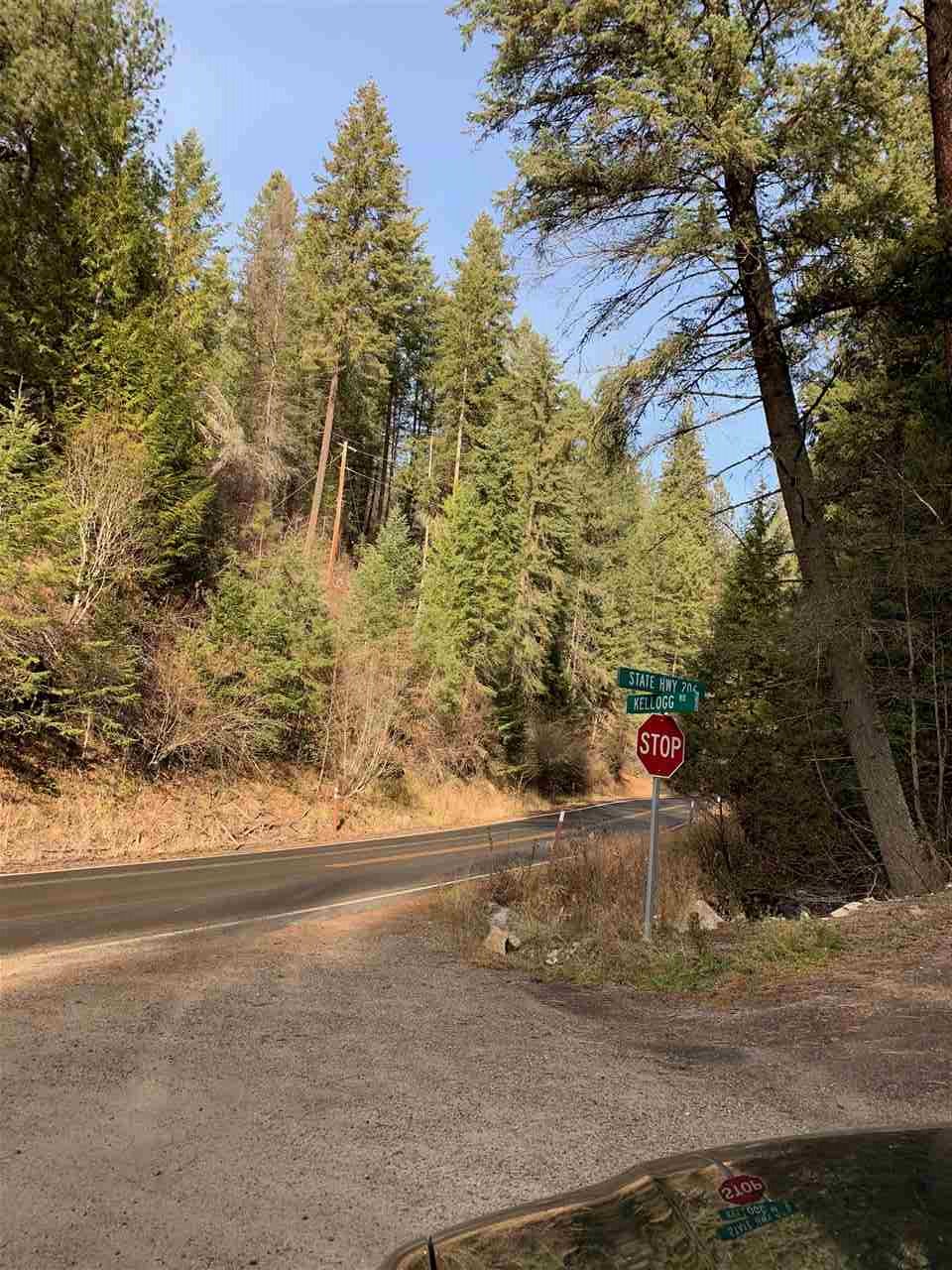 17242 East Kellogg Road Mead, WA 99021 - Photo 13 of 19
