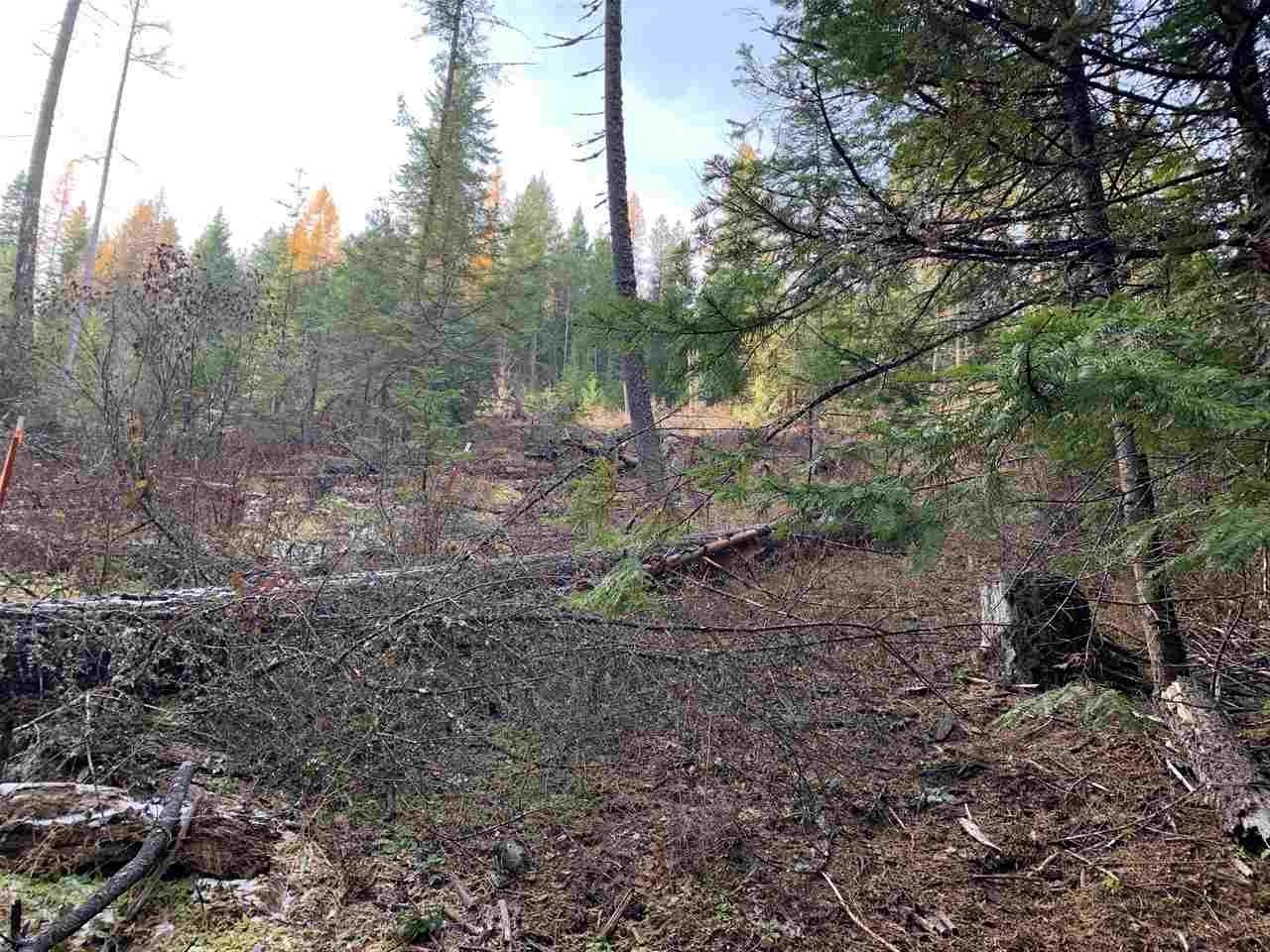 17242 East Kellogg Road Mead, WA 99021 - Photo 14 of 19