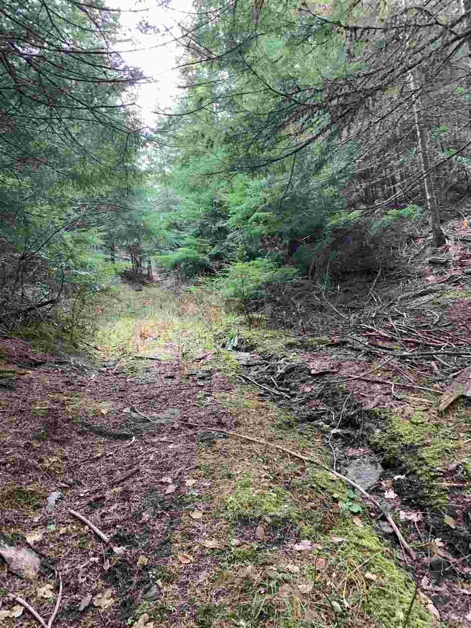17242 East Kellogg Road Mead, WA 99021 - Photo 15 of 19