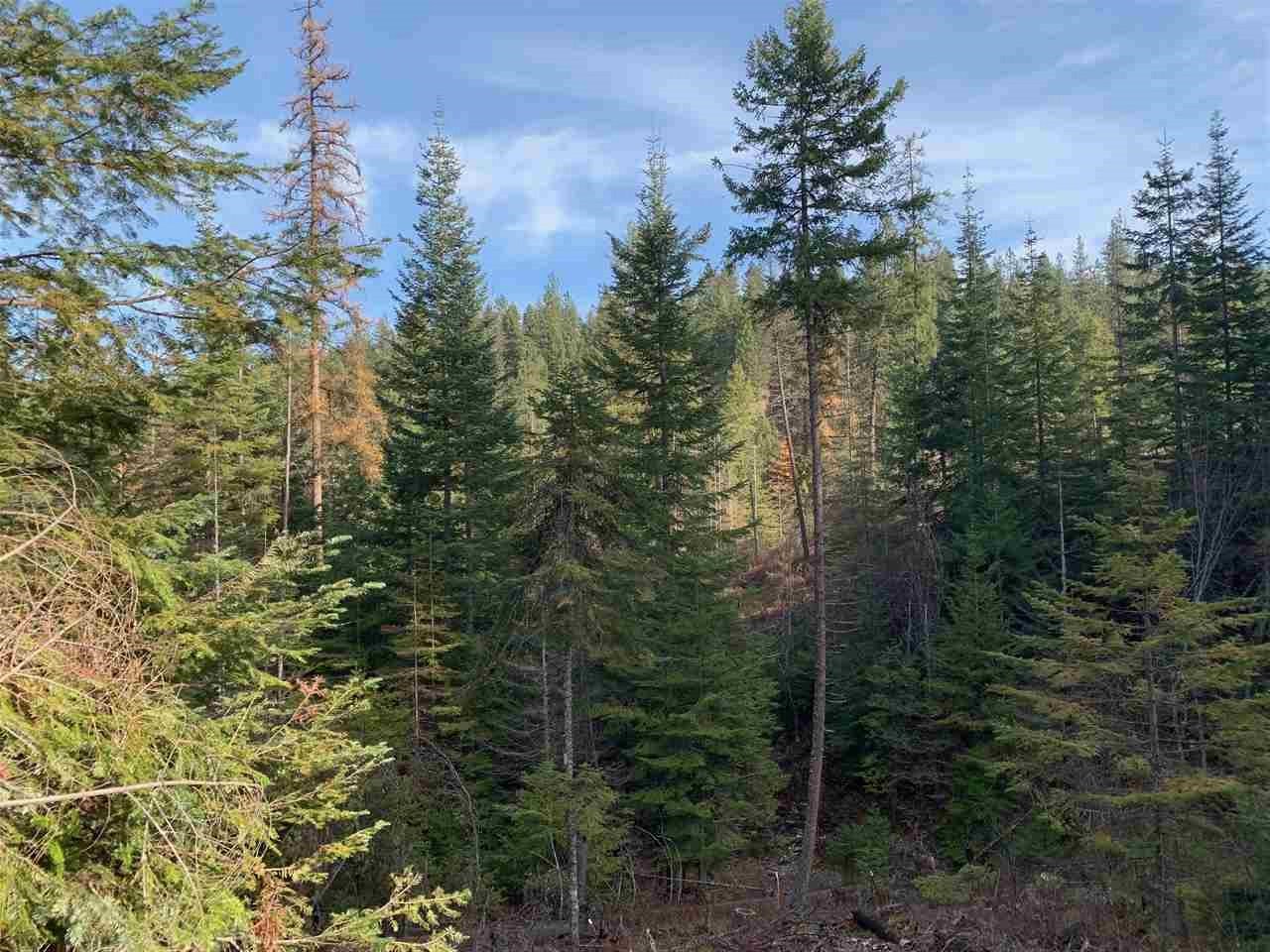 17242 East Kellogg Road Mead, WA 99021 - Photo 16 of 19