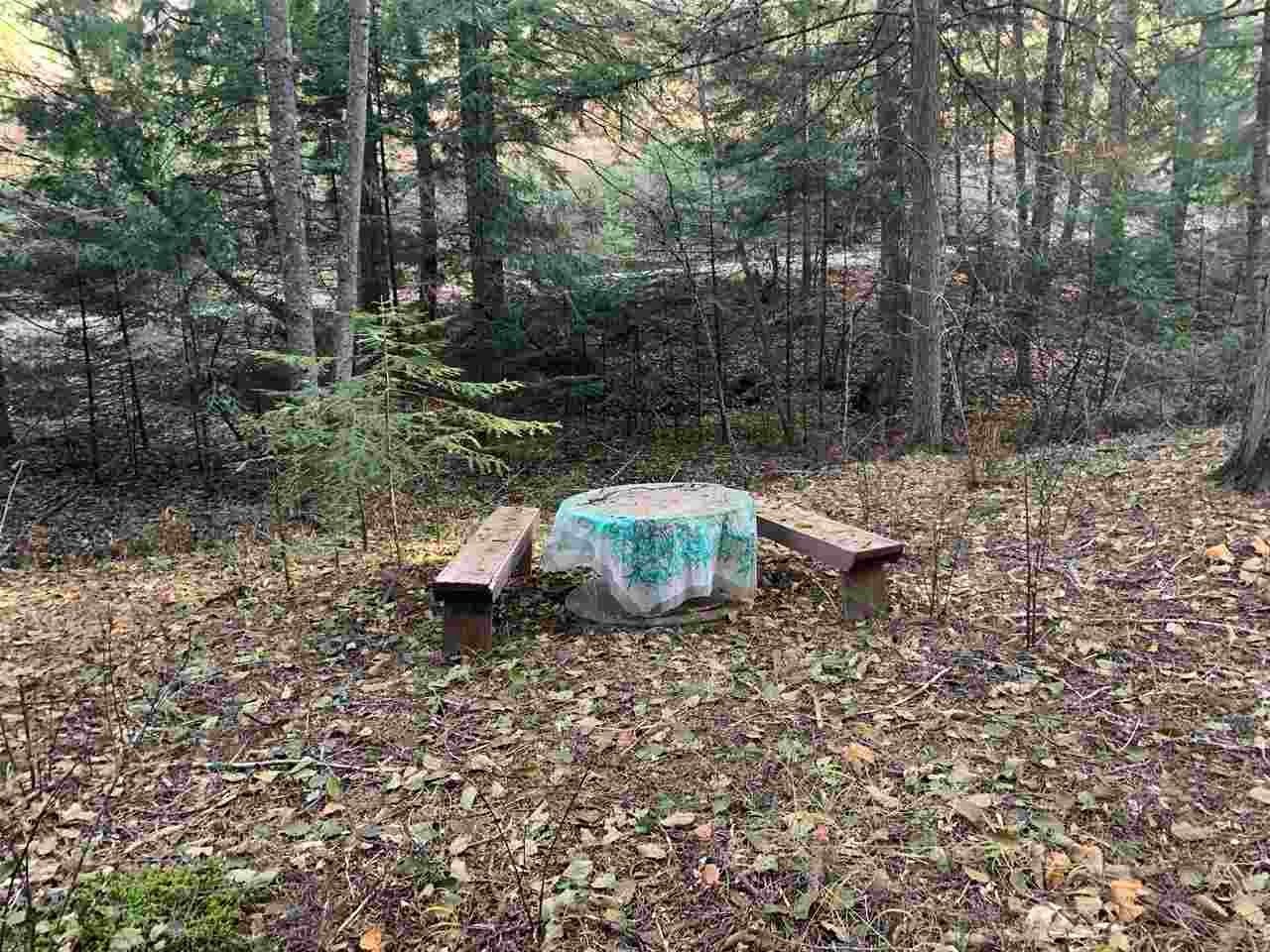 17242 East Kellogg Road Mead, WA 99021 - Photo 5 of 19